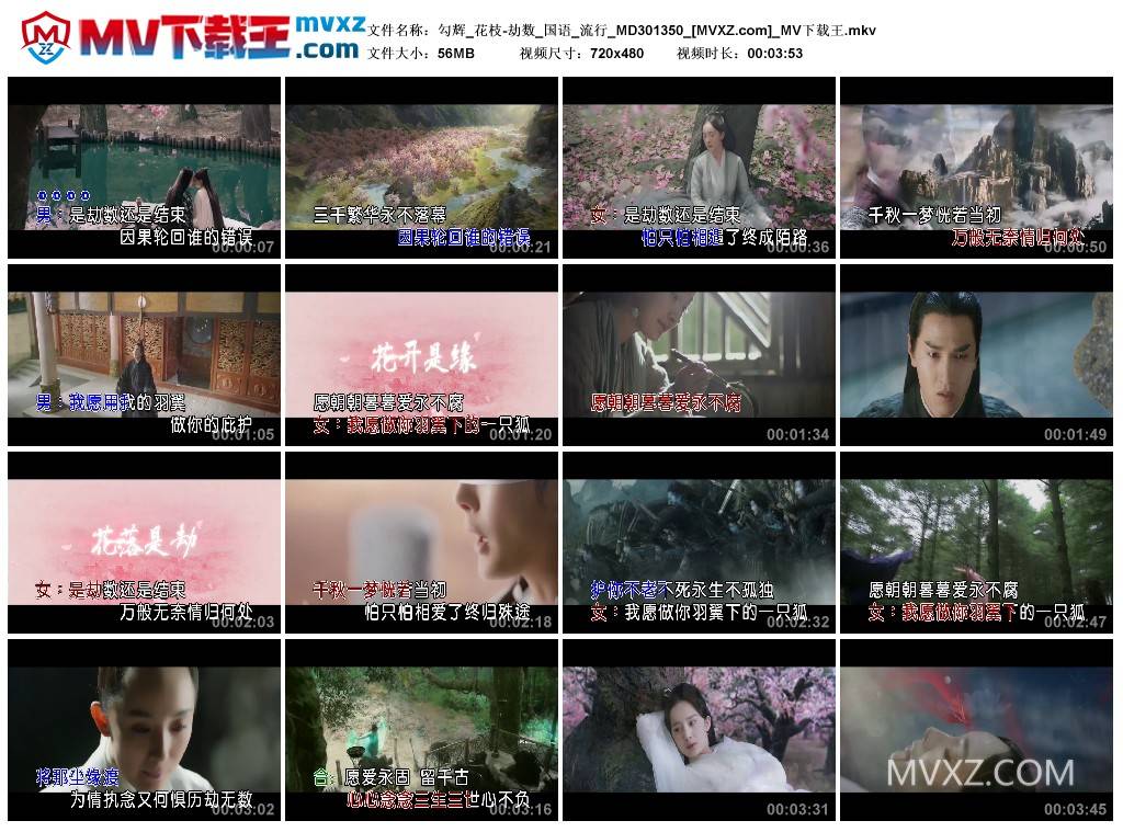 勾辉_花枝-劫数_国语_流行_MD301350